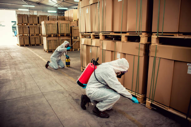 Insect Control in Alsip, IL